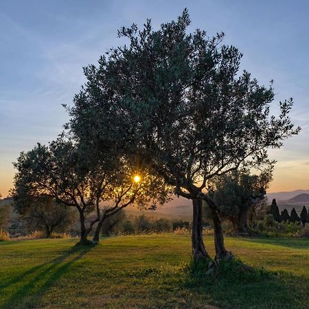 La Marrana - Castello Del Terriccio Villa Castellina Marittima Bagian luar foto
